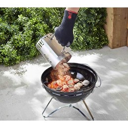 Weber 7447 židinio kaminas grotelių uždegimui