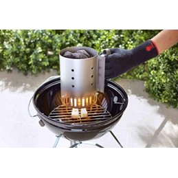 Weber 7447 židinio kaminas grotelių uždegimui