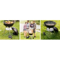 Sodo grilis su anglimis