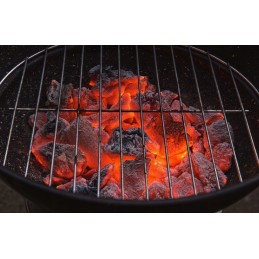 Ekologiška anglis iš Bieszczady kalnų 10kg