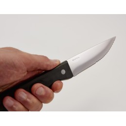 Kepsnių peiliai - 4 vnt. kepsnių karalius