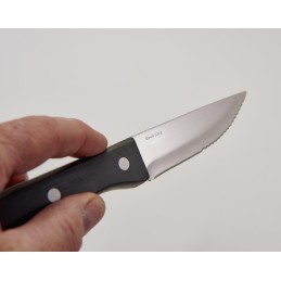 Kepsnių peiliai - 4 vnt. kepsnių karalius