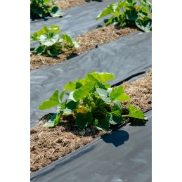 Agrotekstilė nuo piktžolių 1,10 x 10 m p50