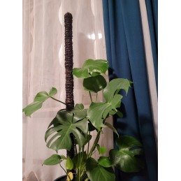 Feniks ekologiškas lengvesnis 10 kg
