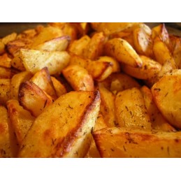 Puikus sodo grilio katilas