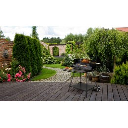 Sodo kepsninė su iešmu ir reguliuojamomis grotelėmis, dviem didelėmis lentynomis