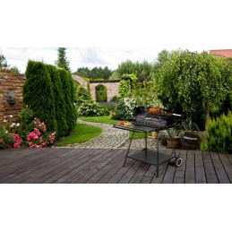 👌_xDC4C_ Sodo kepsninė su anglimis su kepsnine, nešiojama, reguliuojama, didelės grotelės, ratukai, lentynos 👌