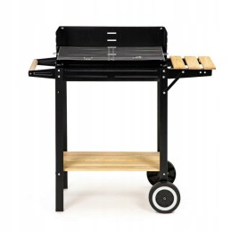 Sodo grilis su anglimis