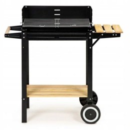 Sodo kepsninė ant ratukų, reguliuojamos polka anglies grotelės, 48 x 27 cm