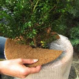 Kokoso diskas fi25 megran 25 x 25 cm 600 g/m²