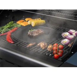 Sacharos grilio plokštė