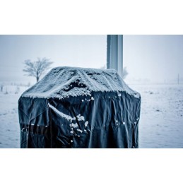 Dangtis + dėklas sodo ar dujiniam griliui