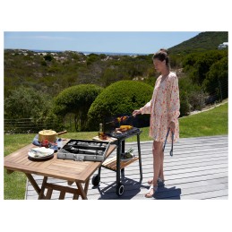 Grillmeister grotelės ant ratų