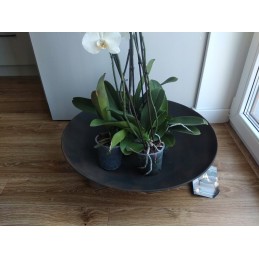 Sodo židinio grilis 57cm, didelis, juodas lygintuvas