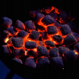 Weber rapidfire kepsninės židinys, sidabrinis, 32,26 x 20,57 x 31,75 cm