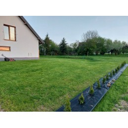 Agrotkanina p-100, plotis 0,8 m x 10 m, tvirtas neaustinis audinys