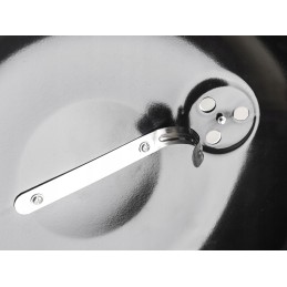 Sodo grilis juoda laiminga žalia