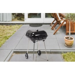 Sodo anglis grilis su dangteliu ir ratukais 40x45