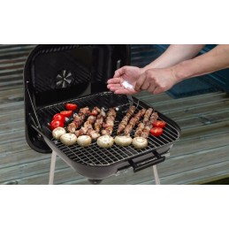 Sodo anglis grilis su dangteliu ir ratukais 40x45