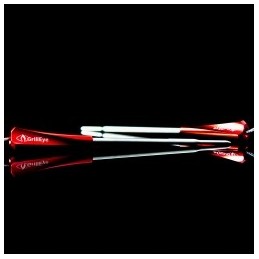 Iris zondai termometrui Borniak Grilleye, maks. 2 vnt