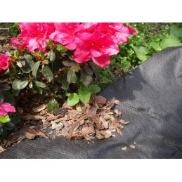 Juoda lenkiška UV agrotekstilė 50g/m2 80cm 20mb