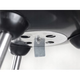 Sodo grilis juoda laiminga žalia