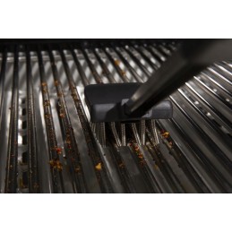 Baron brush with springs