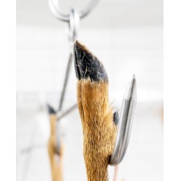 Medžioklės T formos strypas, kabliukas, žvėrienos kabykla, 120 kg