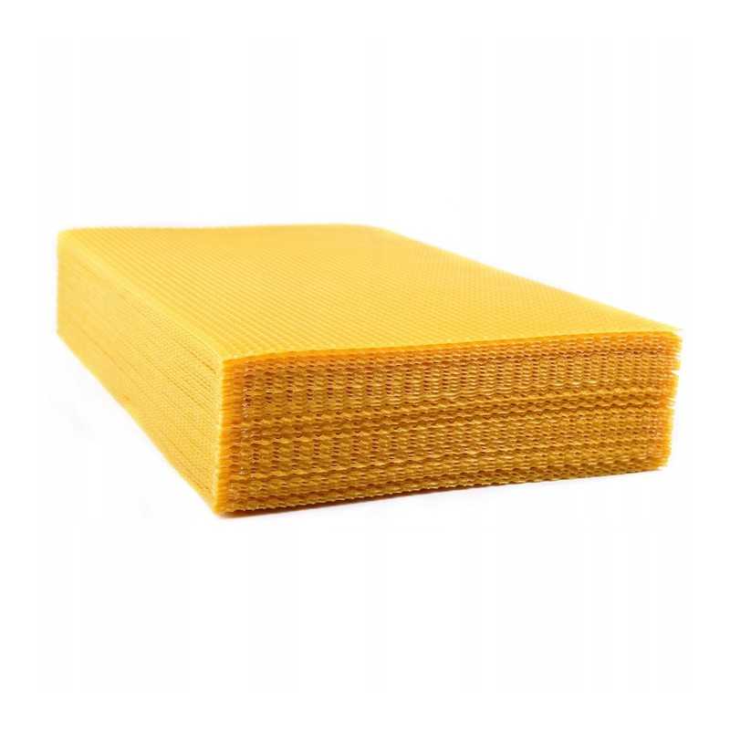 bičių gyvatė – Wielkopolska 5.4 – ištirta