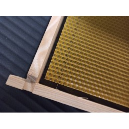 bičių gyvatė – Wielkopolska 5.4 – ištirta