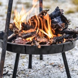 Grilis su anglimis --&gt, grotelės kabantys virš židinio