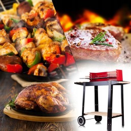 Reguleeritava grilliga söegrill, 2 riiulit