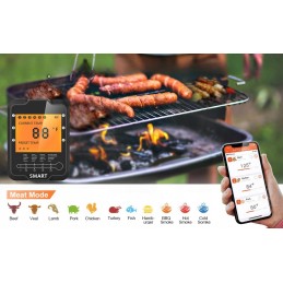 Belaidis virtuvės mėsos termometras su grilio zondu