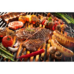 Pagrindinės savybės