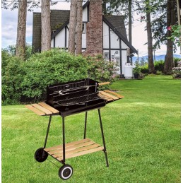 Reguliuojamos anglies kepsninės su lentynomis