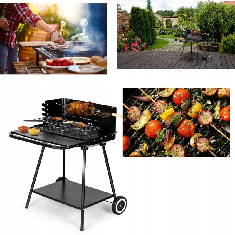 Pagrindinės savybės