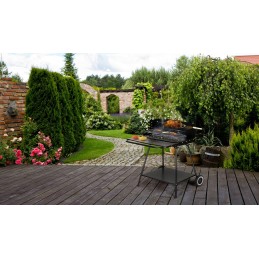 Pagrindinės savybės