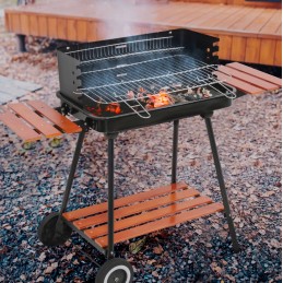 Grilis su anglimis, sulankstomos lentynos, grotelės, 53 cm