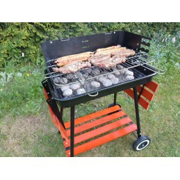 Grilis su anglimis, sulankstomos lentynos, grotelės, 53 cm