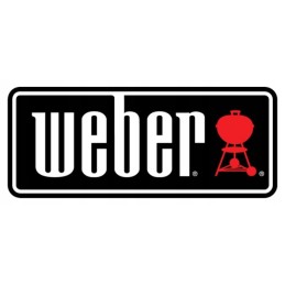 Weber 17631 greito uždegimo rinkinys
