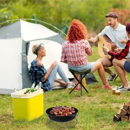 Pagrindinės savybės: