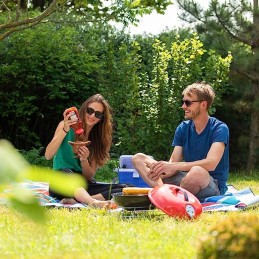 Pagrindinės savybės: