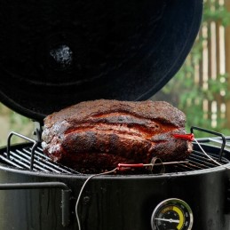 Grilleye Iris zondas Grilleye max termometrams - 2 vnt.