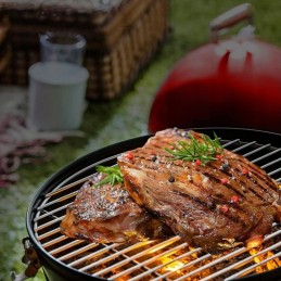 Anglies kepsninė su dangteliu, apvalios metalinės grotelės, kietas židinys