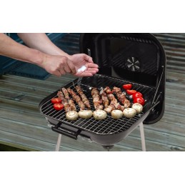 Sodo kepsninė su dangčiu ant ratukų ir cirkuliacijos reguliavimu, grotelės 40x45 cm