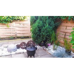 Techninės specifikacijos