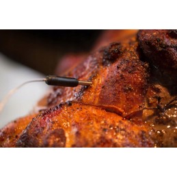 Elektroninis termometras su dviem zondais