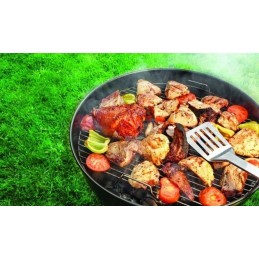 Grilis su anglimis su dangteliu, talpiomis 43 cm grotelėmis, stabiliu, tvirtu premium griliu