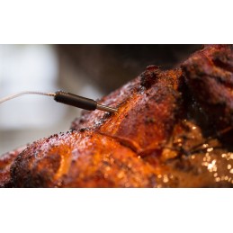 Termometras su dviem zondais 61935