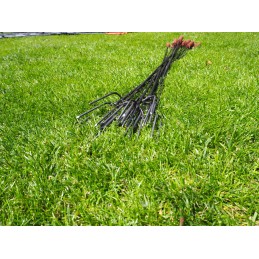 Kietos laužo lazdos 120cm x 20vnt, nerūdijančio plieno